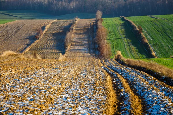 Cultivado campos agrícolas como padrão abstrato no pôr do sol de outono. Retalhos coloridos do campo — Fotografia de Stock