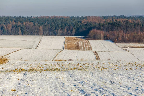 Neve Cobrindo Campo Durante Inverno — Fotografia de Stock