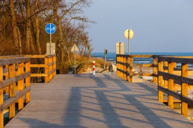 Polonya 'nın deniz kıyısında bir bisiklet yolu.