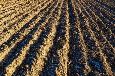 yeni bitkiler için hazır yeni sürülmüş alanının arka plan