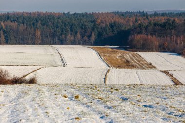 Kış boyunca tarlayı kaplayan kar
