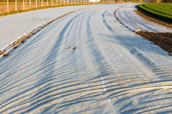 Frisch Gepflügtes Feld Mit Agrotextil Bedeckt — Stockfoto