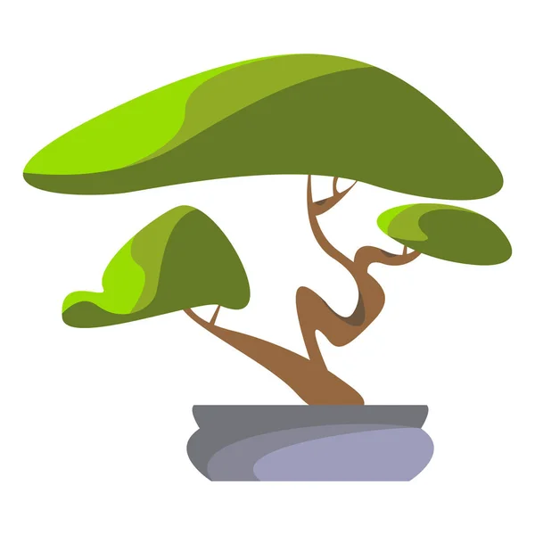 Bonsai Tree Vector Ilustração Icon White Fundo — Vetor de Stock