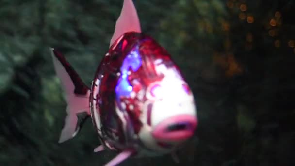 Робот Риба Плаває Акваріумі — стокове відео