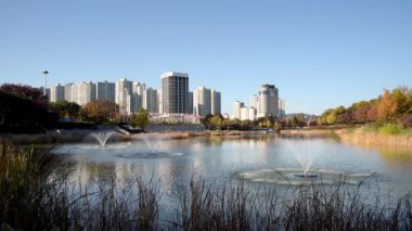 Sonbahar ormanı. Göl. Sonbahar manzarası. Gerçek zamanlı. Güney Kore, Seul Olimpiyat Parkı
