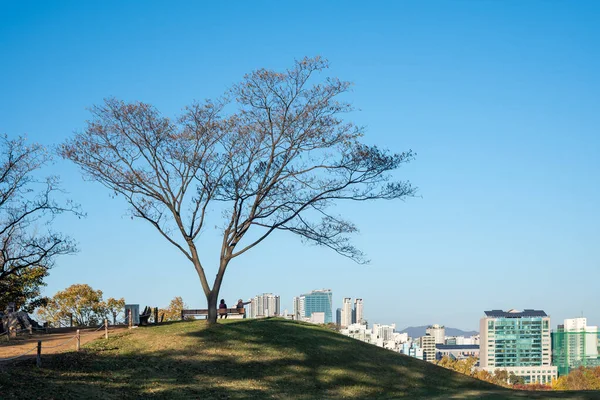 Hojas de otoño. Paisaje de otoño. Parque Olímpico de Seúl en Corea del Sur . — Foto de Stock