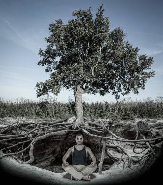 Genç adam ağacın kökleri ile altında meditasyon 