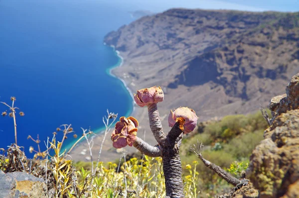 A paisagem maravilhosa de Mirador de Isora, El Hierro ilha. Espanha — Fotografia de Stock