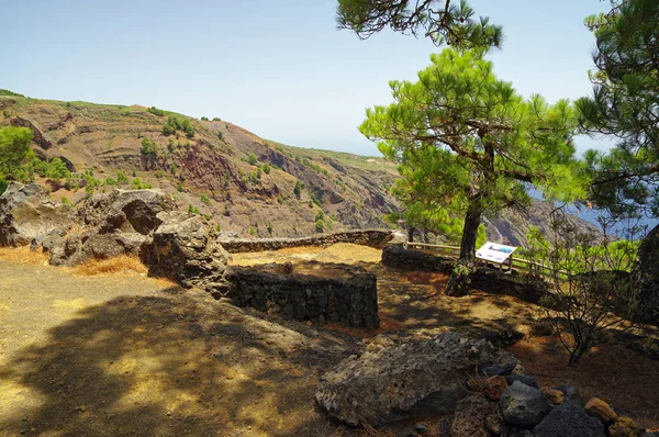 Mirador de Las Playas, gelegen in een dennenbos op eiland El Hierro, Canarische eiland, Spanje — Stockfoto