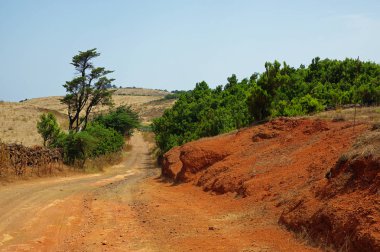 Kanarya yatay, dolambaçlı kırsal yol, El Hierro Adası, İspanya
