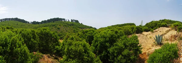 Paisaje de las tierras altas en la isla de El Hierro, Canarias, España —  Fotos de Stock