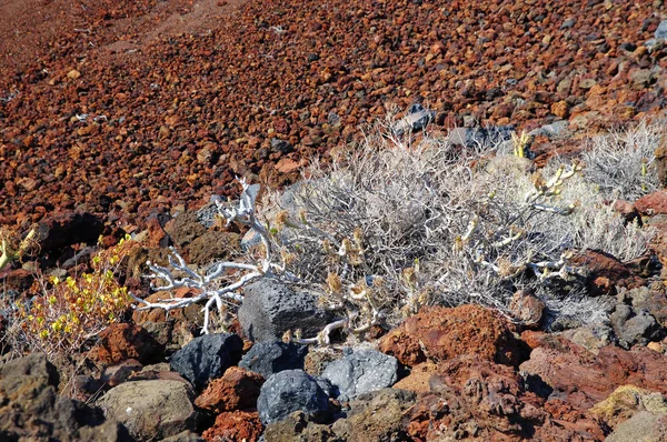 La arena roja y las rocas en el arroyo Tacoron, El Hierro, Islas Canarias, España —  Fotos de Stock