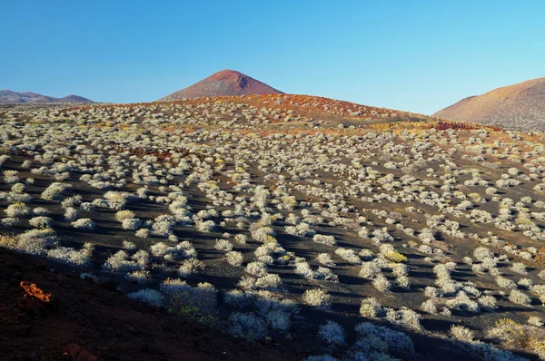 La arena roja y las rocas en el arroyo Tacoron, El Hierro, Islas Canarias, España — Foto de Stock