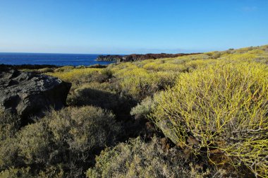 El Hierro - turuncu kayalar ve siyah lav, Kanarya Adaları, İspanya