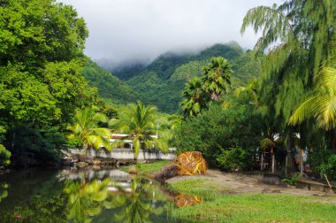 Büyük Anse d 'Arlet - Martinique - Karayip Adası.
