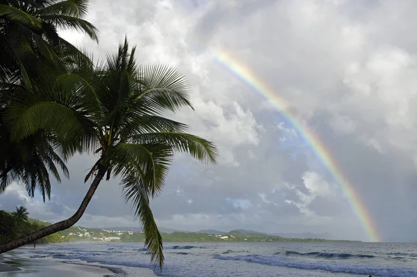 Ένα ουράνιο τόξο πάνω από La Diamond beach, νησί Μαρτινίκα, Αντίλλες — Φωτογραφία Αρχείου