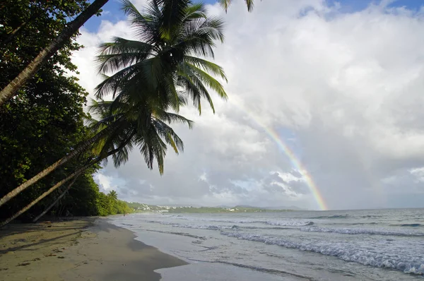 Ένα ουράνιο τόξο πάνω από La Diamond beach, νησί Μαρτινίκα, Αντίλλες — Φωτογραφία Αρχείου