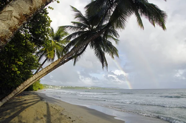 Un arco iris sobre la playa de La Diamond, Isla Martinica, Antillas Menores — Foto de Stock