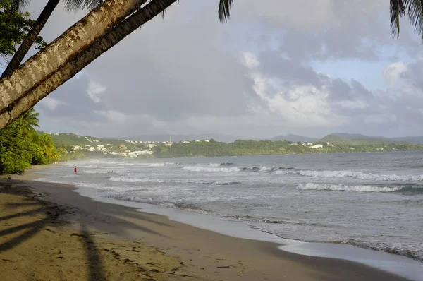 La διαμάντι, Μαρτινίκα, Γαλλία - 31 Δεκεμβρίου: Οι άνθρωποι με τα πόδια για το διαμάντι παραλία La στις 31 Δεκεμβρίου 2016, Μαρτινίκα νησί, Αντίλλες — Φωτογραφία Αρχείου