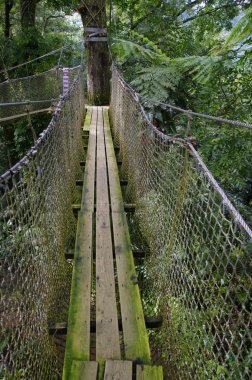 France, Martinique, tropikal Bahçe Balata, küçük Antiller
