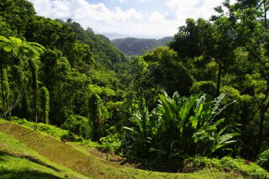 France, Martinique, tropikal Bahçe Balata, küçük Antiller