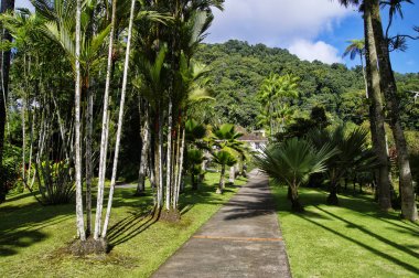 France, Martinique, tropikal Bahçe Balata, küçük Antiller