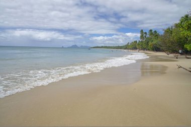 Le Salines, Martinik - 1 Ocak - insanlar Grande Anse des Salines - Martinique on Ocak en meşhur plajında biri üzerinde 1,2017, Fransa, Küçük Antiller