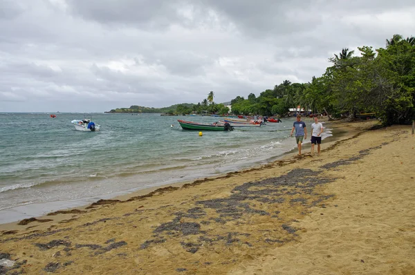 PRESQU LE DE LA CARAVELLE, MARTINIQUE - JANUARY 1 - άτομα στην παραλία του Presqu Ile de la Caravelle την 1η Ιανουαρίου 2017, Μαρτινίκα, Γαλλία, Μικρές Αντίλλες — Φωτογραφία Αρχείου