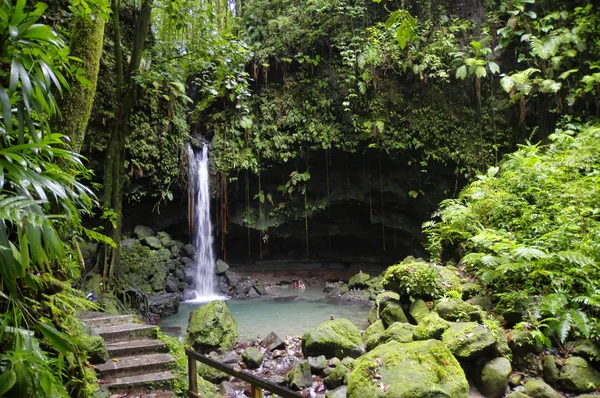 The Emerald Pool. Central Forest Reserve. Dominca island, Lesser Antilles — Stock Photo, Image