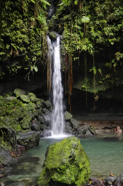 The Emerald Pool. Central Forest Reserve. Dominca island, Lesser Antilles — Stock Photo, Image