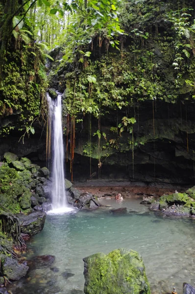 The Emerald Pool. Central Forest Reserve. Dominca island, Lesser Antilles — Stock Photo, Image