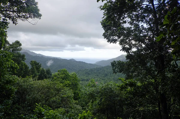 A vista panorâmica de Emerald Pool Trail. Central Forest Reserve. Ilha Dominca, Pequenas Antilhas — Fotografia de Stock