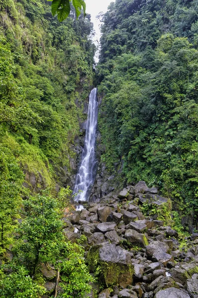 Trafalgar Falls, Morne Trois Pitons National Park (UNESCO Heritage Site), Dominica. Lesser Antilles — Stock Photo, Image
