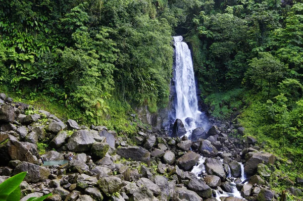 Trafalgar Falls, Morne Trois Pitons National Park (UNESCO Heritage Site), Dominica. Lesser Antilles — Stock Photo, Image