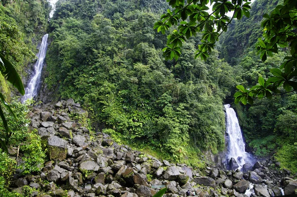 Trafalgar Falls, Morne Trois Pitons National Park (UNESCO Heritage Site), Dominica. Lesser Antilles — Stock Photo, Image