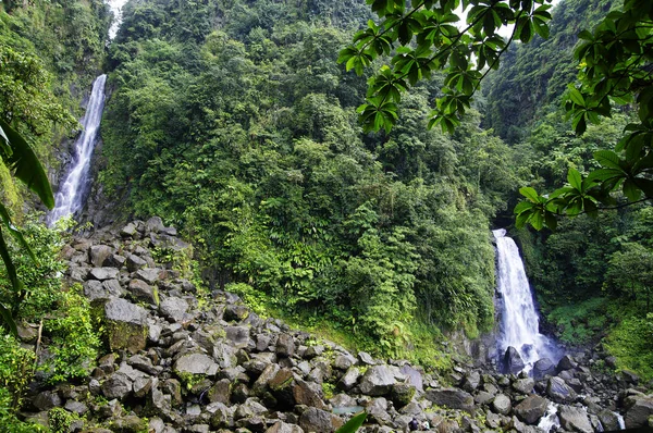 Trafalgar Şelalesi Morne Trois sikkesine Milli Parkı (Unesco mirası), Dominika. Küçük Antiller