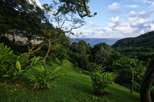 Bruce, Dominika - 4 Ocak 2017-4 Ocak 2017 üzerinde Dominika adasının Batı kıyısında şık yazlık kale. Kale Bruce Dominica ada, küçük Antiller batısında köydür