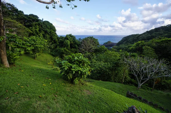 A tengerpart közelében Castle Bruce falu nyugati költsége Dominika-sziget, a kis-Antillák — Stock Fotó