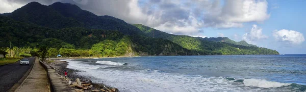 BEREKUA, DOMINICA - JANUARY 6, 2017: The man collects shells on the beach in the Berekua village on January 6, 2017. Lesser Antilles — Stock Photo, Image