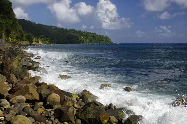 Berekua Köyü, Dominika, küçük Antiller taş sahil — Stok fotoğraf