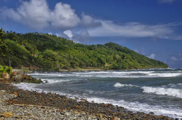 Залив Пагуа на острове Доминика, Малые Антильские острова — стоковое фото