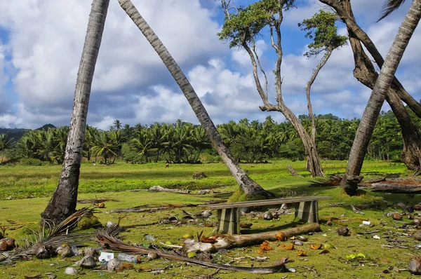 Um banco na praia selvagem na baía de Londonderry, ilha Dominica, Pequenas Antilhas — Fotografia de Stock
