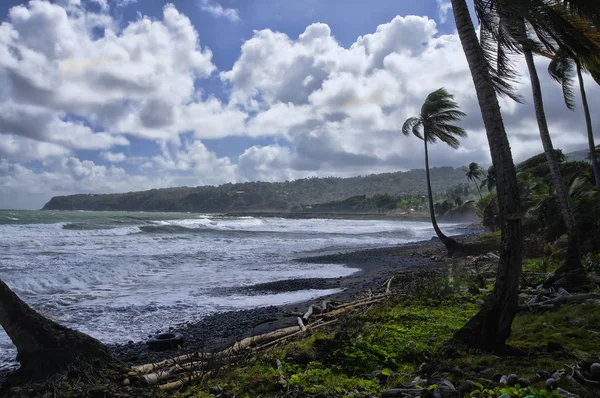 Una playa en la bahía de Londonderry en la isla Dominica, Antillas Menores — Foto de Stock