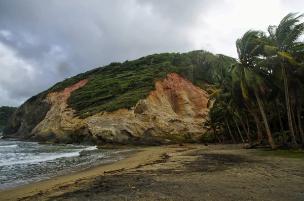 Thibaud, smörgås Beach, Dominica, Små Antillerna — Stockfoto