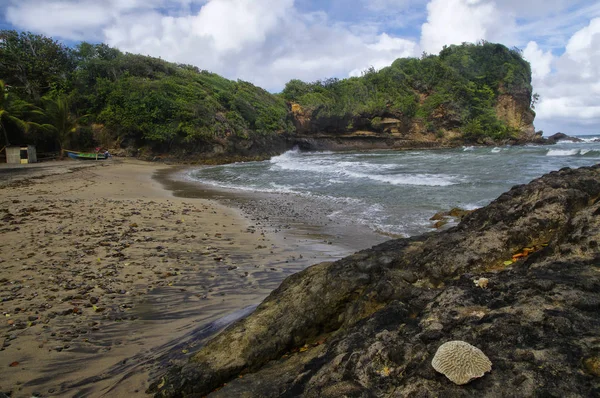 Thibaud, smörgås Beach, Dominica, Små Antillerna — Stockfoto