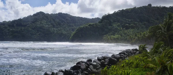 Каменное побережье деревни Берекуа, Доминика, Малые Антильские острова — стоковое фото