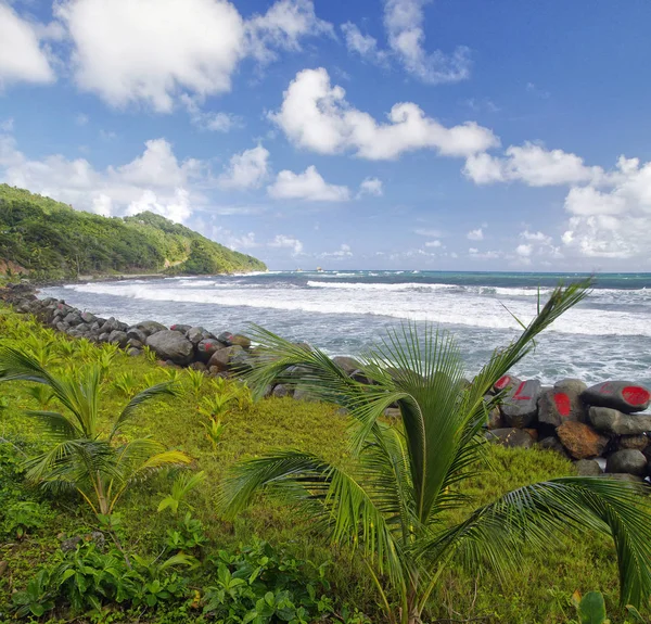 Bahía de Pagua en la isla Dominica, Antillas Menores — Foto de Stock