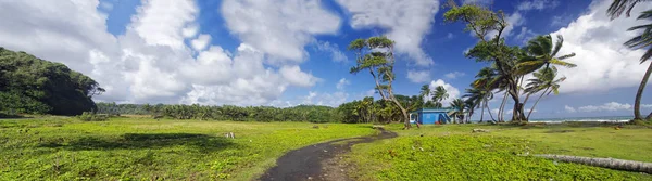 Ασφαλτοστρωμένος δρόμος ανάμεσα σε καταπράσινα λιβάδια στο Londonderry κόλπο στο νησί της Δομίνικα, Αντίλλες — Φωτογραφία Αρχείου