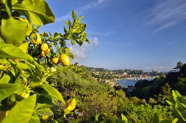 Panoramisch uitzicht op de regio van Lerici, Ligurië, Italië — Stockfoto