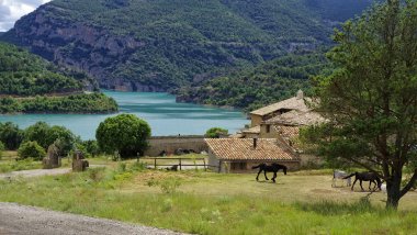 Stud çiftlik Llosa del Cavall göl kenarındaki Lleida Eyaleti, Catalonia, İspanya.